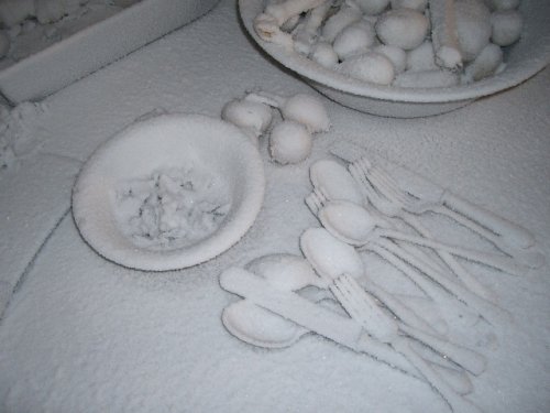 Vereisung Eiswachs